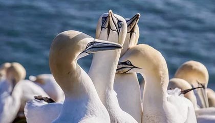 瑞安最新公积金卡提取方法分析(最方便真实的瑞安公积金卡提取后还可以继续使用吗方法)